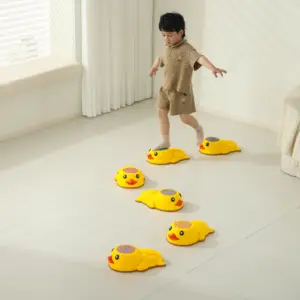 Ducks Stepping stone 1