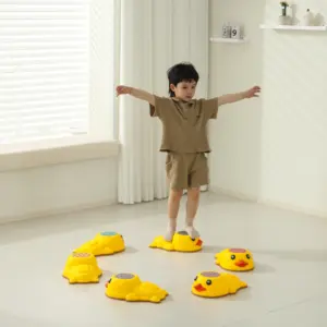 Ducks Stepping stone 2