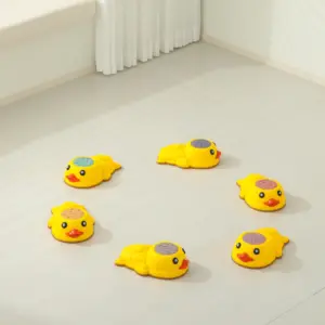 Ducks Stepping stone 3