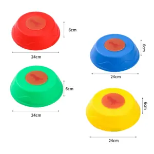 Luminous stepping stones 5